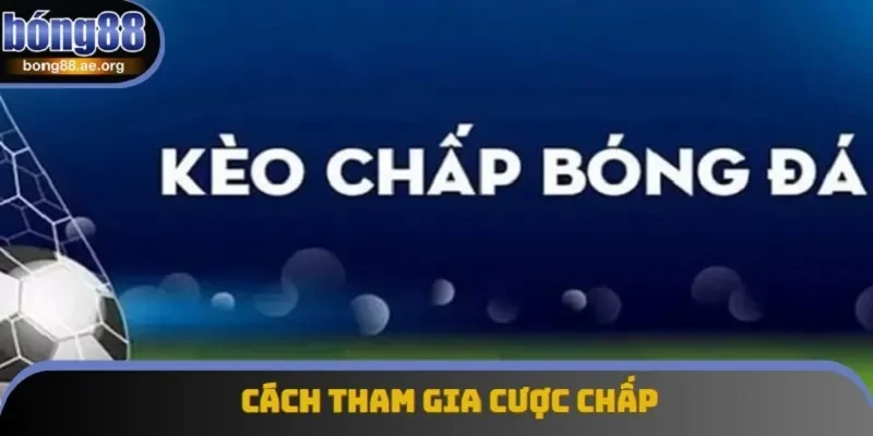 Trong cược chấp, trọng tâm chính là các con số tỷ lệ kèo 