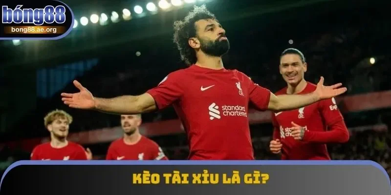 Định nghĩa mà mọi bet thủ đều phải biết về kèo tài xỉu